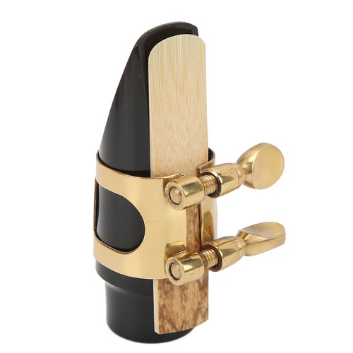 Saxophone mouthpiece kit - mouthpiece,