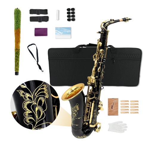 Professional alto saxophone - saxophone, eb