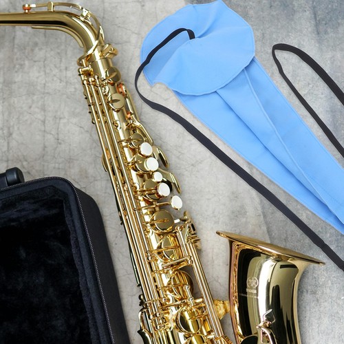 Set saxophone cleaning kit - 1,