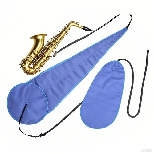 Instrument care saxophone - instrument,