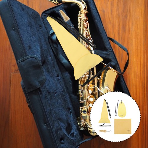 Lightweight saxophone cleaning - lightweight,